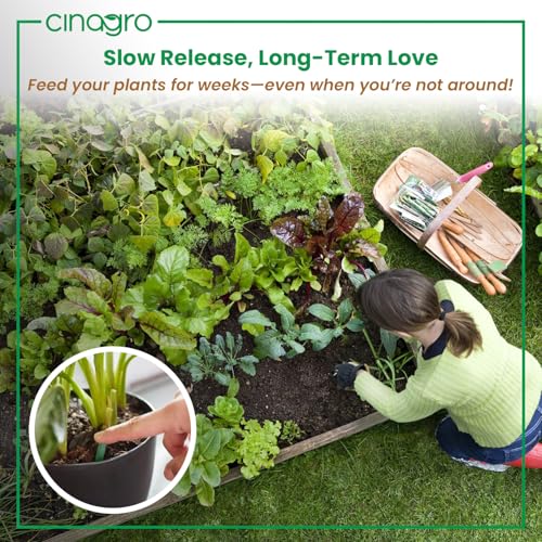 Cinagro Plant Food Sticks, Pack of 20, Slow Release Fertilizer, Natural Magic Stick for Indoor & Outdoor Potted Plants, Organic Sticks for Plants, Promotes Healthy Growth, Beautiful Flowers & Fruits - Image 3