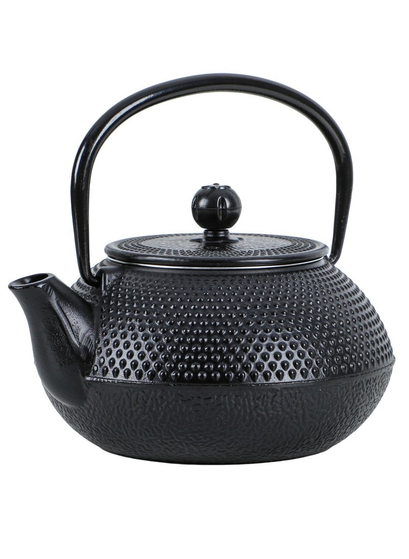ALGhafa, Japanese Gast iron teapot, 800 ml, for trips, camping - Image 1