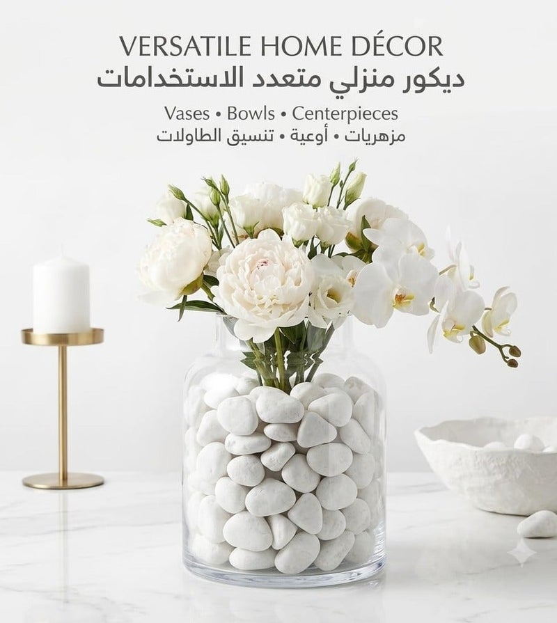 أحجار بيضاء زخرفية كبيرة 2–5 سم، 2.4 رطل – حصى أبيض طبيعي غير مصقول لتزيين المزهريات، وأصص النباتات، والحدائق، وتنسيق المساحات الخارجية، والأحواض المائية، والتيراريوم، والأعمال اليدوية وديكور المنزل. - Image 5