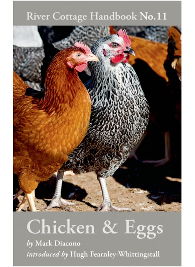 null - Chicken & Eggs : River Cottage Handbook No.11 - Image 1