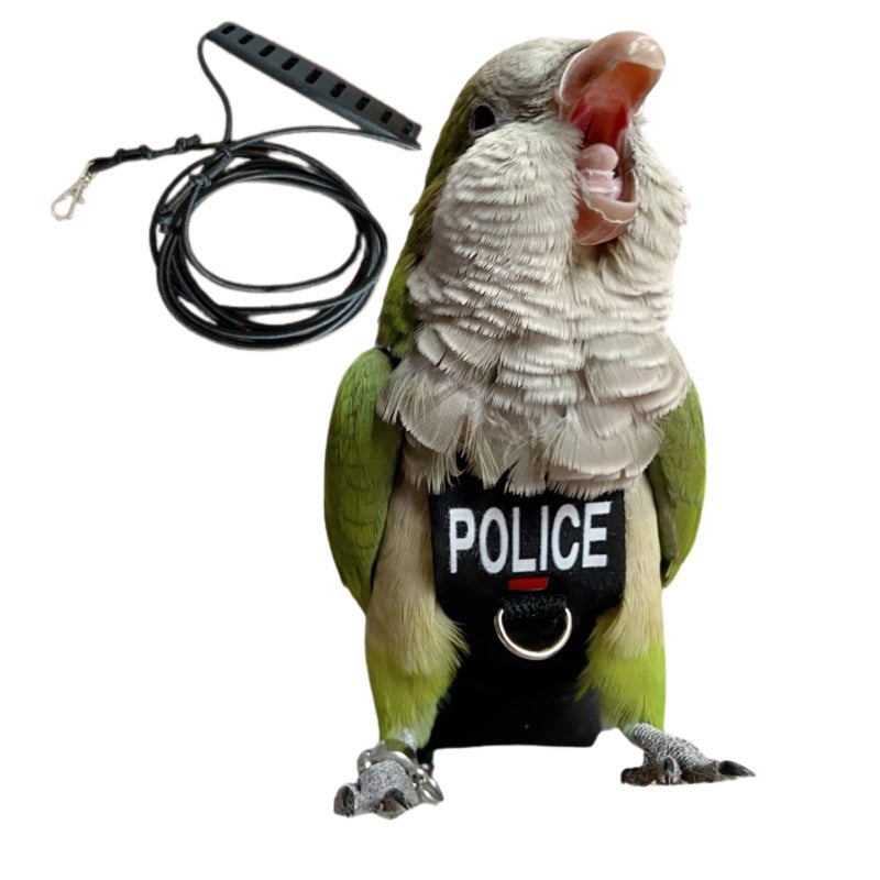 Barn Eleven Bird Diaper Harness Flight Suit Clothes Parrot Flight Suit with Leash for Parrot Bird Flying Clothes with Rope and Handle for Outdoor Activities Training with Leash XLarge - Image 2