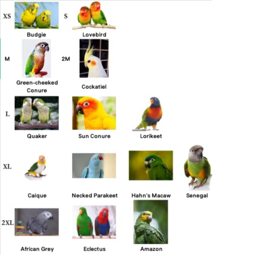 Barn Eleven Bird Diaper Harness Flight Suit Clothes Parrot Flight Suit with Leash for Parrot Bird Flying Clothes with Rope and Handle for Outdoor Activities Training with Leash XLarge - Image 3