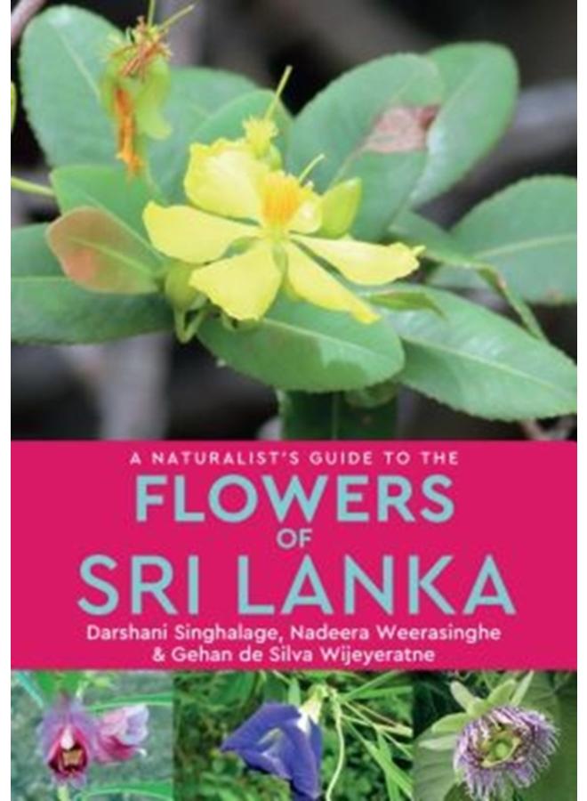 A Naturalist???s Guide to the Flowers of Sri Lanka 