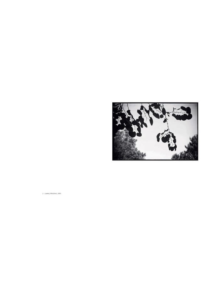 Shape, Ground, Shadow: The Photographs of Ellsworth Kelly  - Image 4