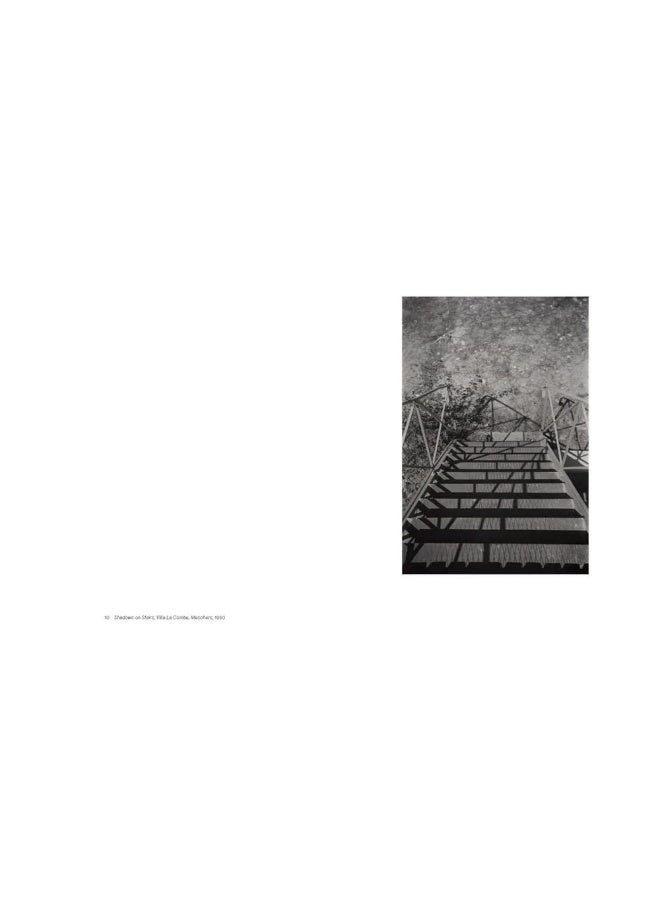 Shape, Ground, Shadow: The Photographs of Ellsworth Kelly  - Image 5