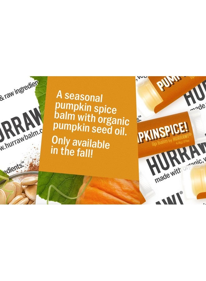 Hurraw! بلسم شفاه بنكهة اليقطين: معتمد عضوي، نباتي، خالي من القسوة والغلوتين. مكونات طبيعية 100% غير معدلة وراثيًا. خالي من شمع النحل وزبدة الشيا وفول الصويا والنخيل. مصنوع في الولايات المتحدة. - Image 4