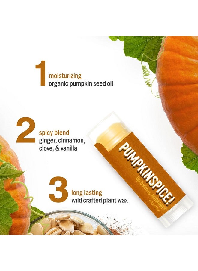 Hurraw! بلسم شفاه بنكهة اليقطين: معتمد عضوي، نباتي، خالي من القسوة والغلوتين. مكونات طبيعية 100% غير معدلة وراثيًا. خالي من شمع النحل وزبدة الشيا وفول الصويا والنخيل. مصنوع في الولايات المتحدة. - Image 3