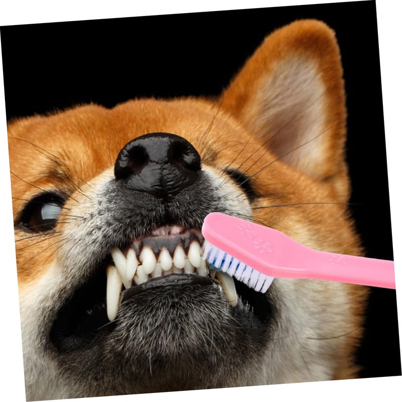 12 Pcs Dual Head Dog Toothbrush Soft Bristle for Comfortable Teeth Cleaning Oral Care - Image 4