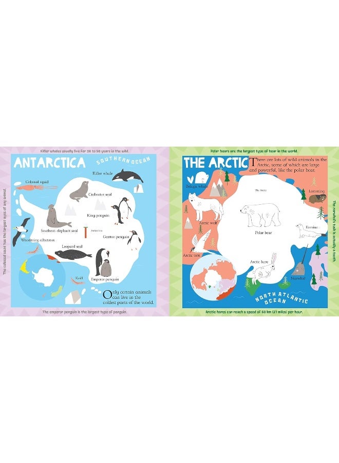 Animal Atlas - Image 4