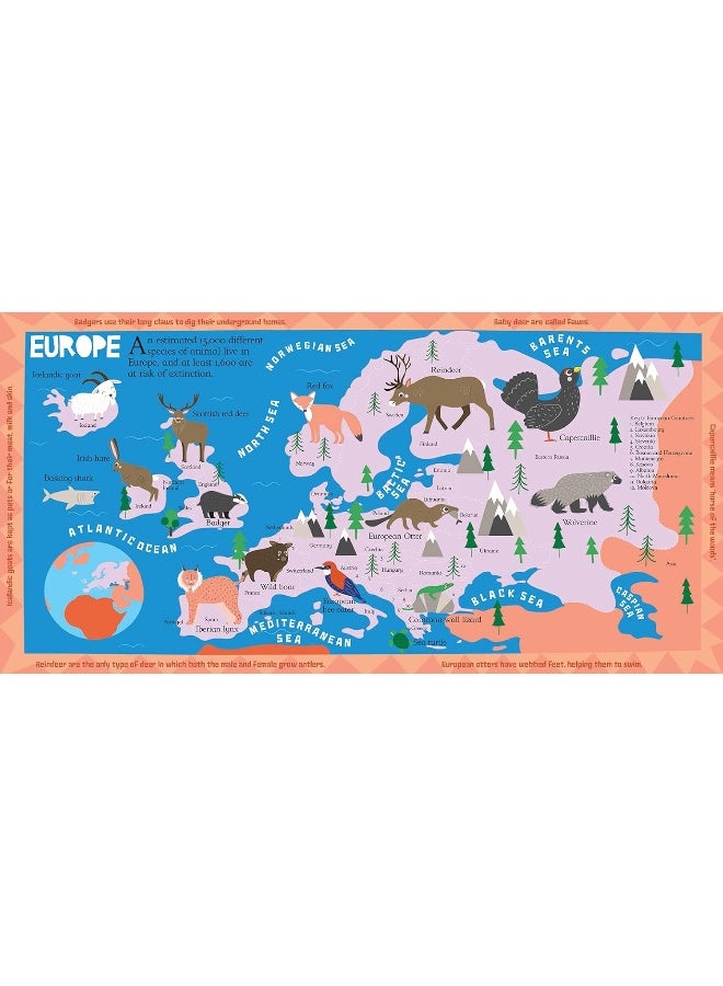 Animal Atlas - Image 3