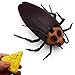 Tipmant Mini RC Cockroach Toy Remote Control Roach Insect Realistic Simulation Electric Electronic Animal for Pets Cat Dogs Toddler Kids Birthday Gifts - Image 2