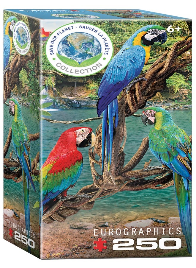 EuroGraphics Parrots Save Our Planet 250 Piece Puzzle - Image 2