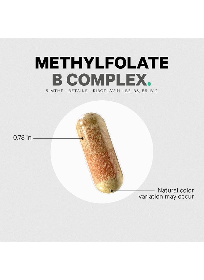 Codeage Methyl-Elite Methylation Supplements - 5 MTHF, Methylcobalamin 1000mcg Methylated Vitamin B12, Riboflavin, Betaine, Vitamins B6, Methylfolate, Methylation Cycle MTHFR - 2 Months - 120 Capsules