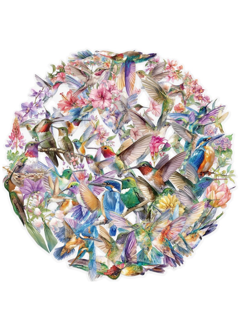 قوس قزح أورينبو 50 قطعة من ملصقات الطيور الطنانة، ملصقات شفافة، ملصقات طبيعية، ملصقات زخرفية مقاومة للماء، لسجلات القصاصات، ألبومات الحرف اليدوية، دفتر الرصاص، مخطط، زجاجات المياه، حافظات الهواتف، أجهزة الكمبيوتر المحمول - Image 1