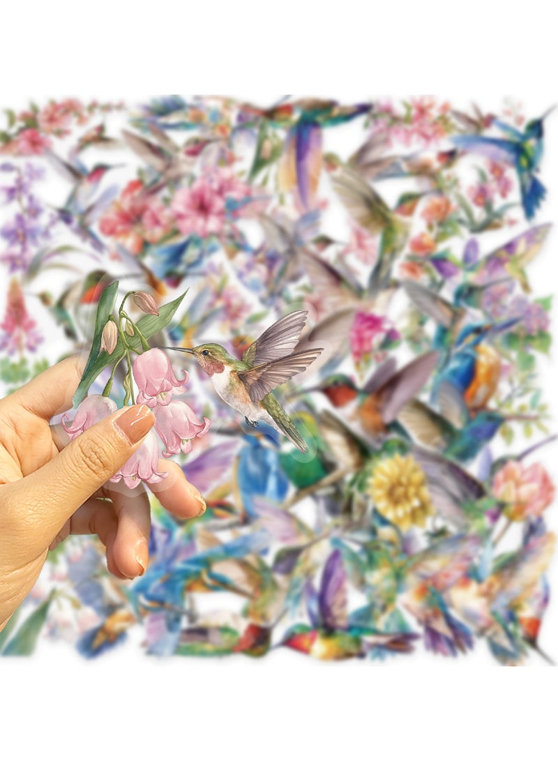 قوس قزح أورينبو 50 قطعة من ملصقات الطيور الطنانة، ملصقات شفافة، ملصقات طبيعية، ملصقات زخرفية مقاومة للماء، لسجلات القصاصات، ألبومات الحرف اليدوية، دفتر الرصاص، مخطط، زجاجات المياه، حافظات الهواتف، أجهزة الكمبيوتر المحمول - Image 4