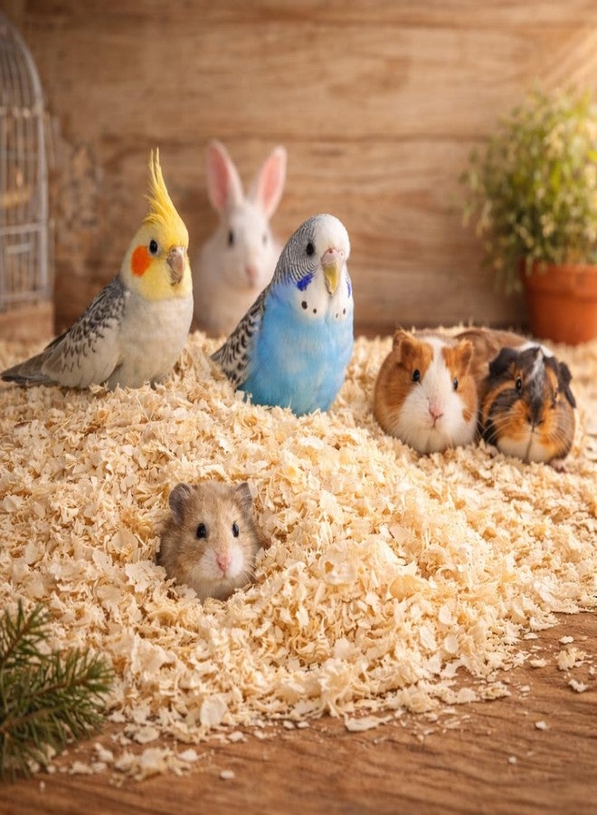 VAYINATO® 200 GRM Wood Shaving for Birds, Hamsters & Small Animals - Natural Pine Bedding | Odor Control | High Absorption | Low Dust | Nesting & Cage Base Material - Image 1