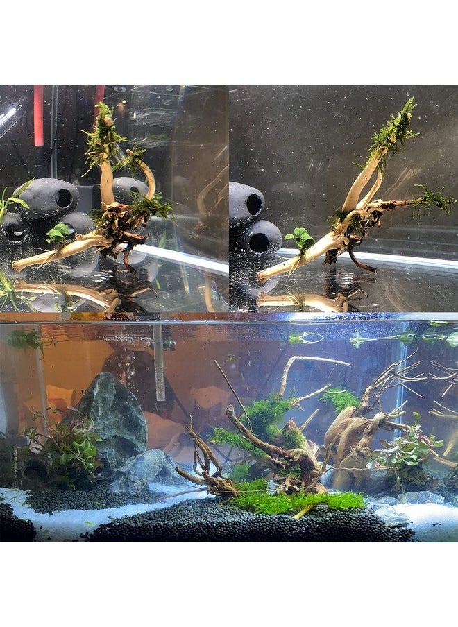 Kathson 7 Pcs Natural Aquarium Driftwood Reptile Branches Wood Terrarium Ornament Trunk Fish Tank Log Habitat Decoration Tree Stump Decor Assorted Sizes Wood  - Image 3