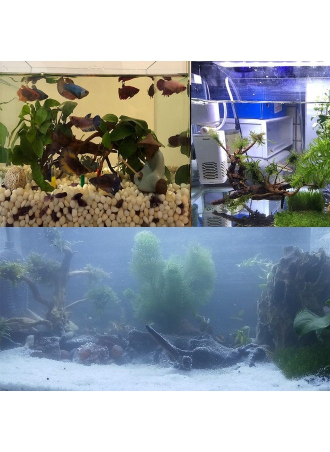 Kathson 7 Pcs Natural Aquarium Driftwood Reptile Branches Wood Terrarium Ornament Trunk Fish Tank Log Habitat Decoration Tree Stump Decor Assorted Sizes Wood  - Image 4