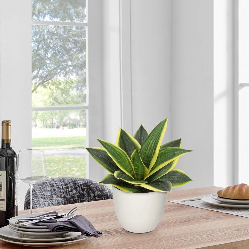 Hollyone Artificial Snake Plants 9" Faux Agave Succulent Plant Potted in White Pot Fake Sansevieria Aloe Tropical Plant for Desk Modern Office Home Bathroom Indoor Outdoor Decor - Image 4