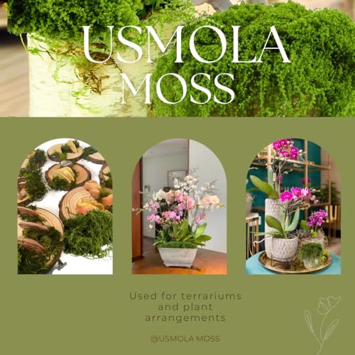 USMOLA 3.5OZ Fake Moss for Plants Indoor - Artificial Moss for Table Centerpieces, Fairy Gardens, Terrariums - Realistic Faux Grass for Wedding Christmas Party Decor (Light Green) - Image 5