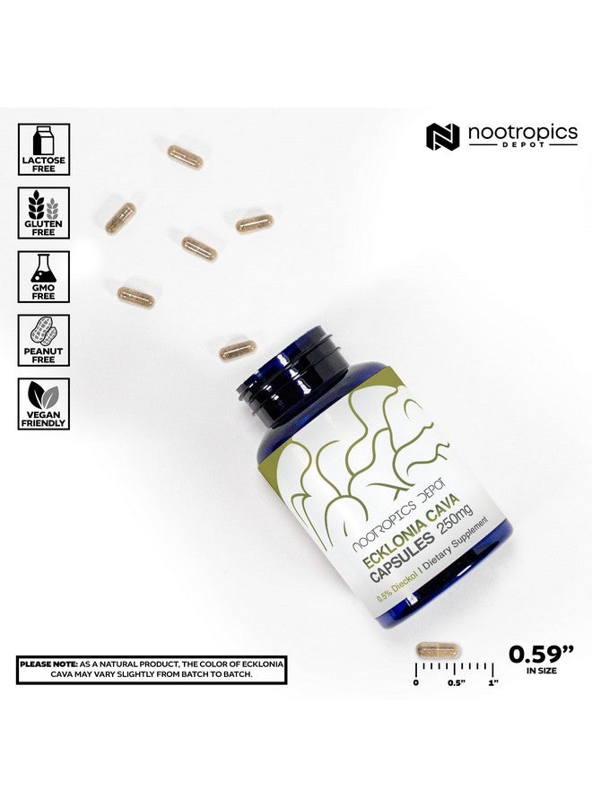 Nootropics Depot Ecklonia cava Capsules | 250mg | 0.5% Dieckol | Brown Seaweed | 60 Count - Image 3