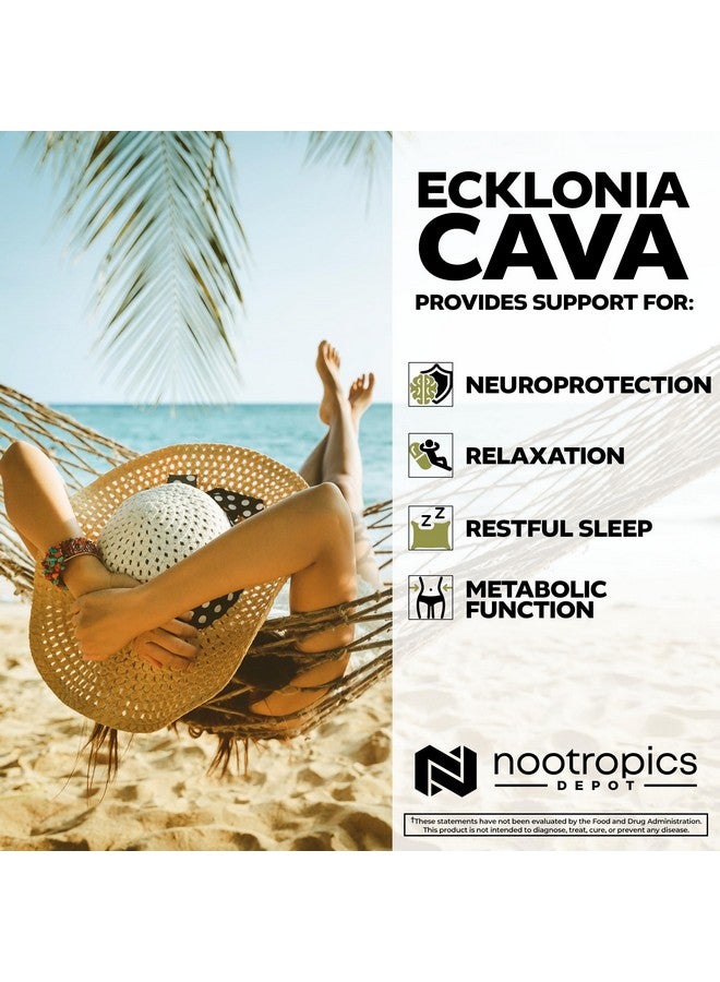 Nootropics Depot Ecklonia cava Capsules | 250mg | 0.5% Dieckol | Brown Seaweed | 60 Count - Image 4