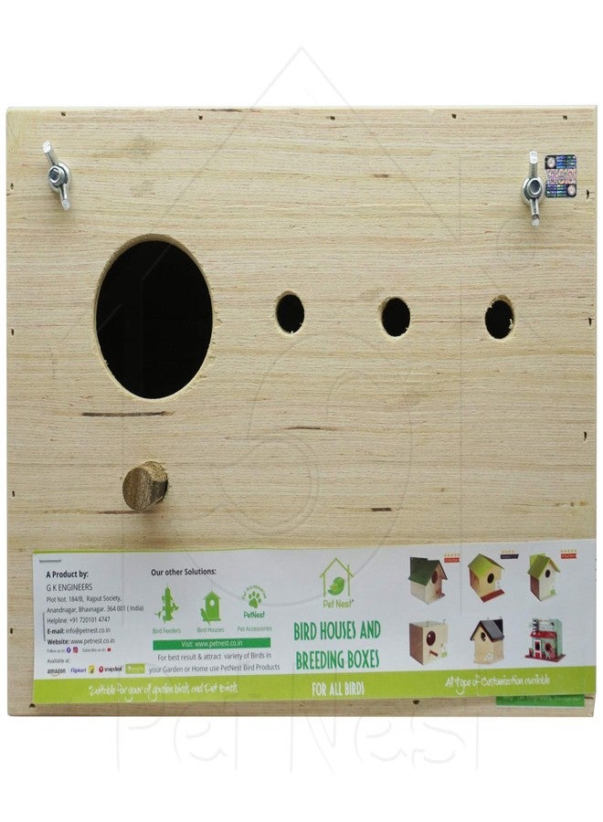 عش طيور PetNest® القياسي مع مجثم لطيور الحب - Image 2
