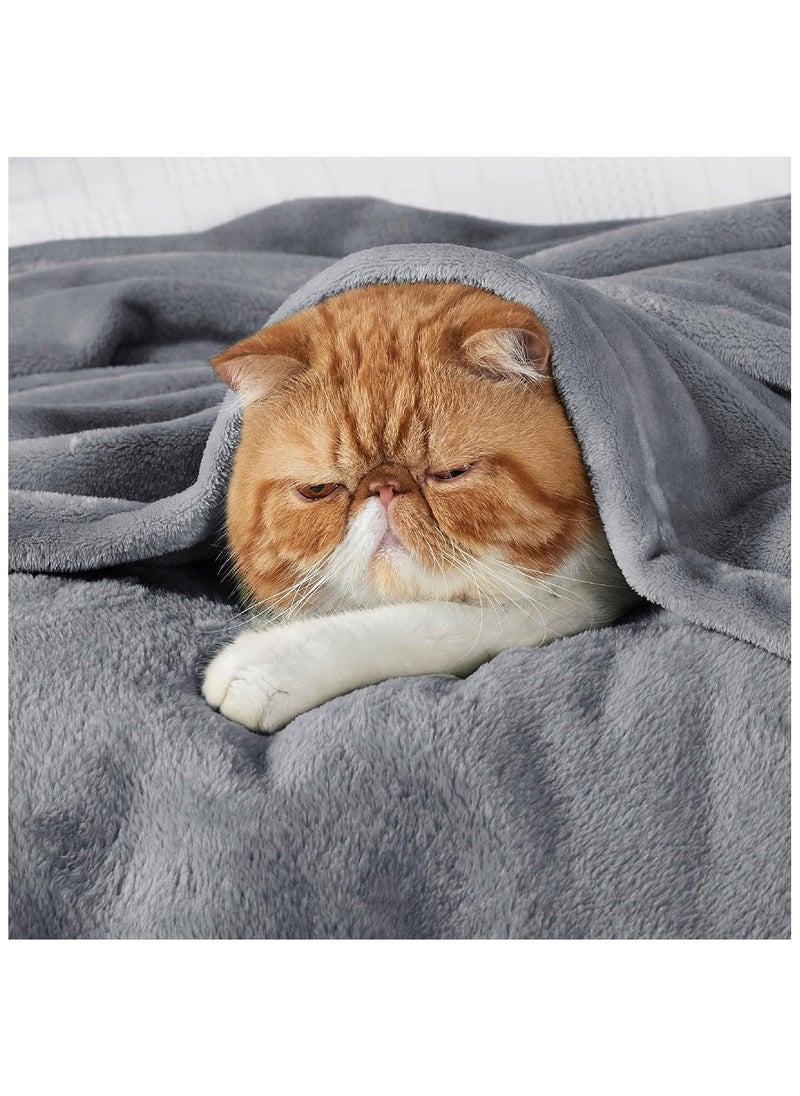 سكاي تاتش Twin Fleece Blanket 150x200cm 270GSM Super Soft Lightweight Bed Blanket Plush Fuzzy Cozy Luxury Microfiber Throw Blanket for Home Office Dorm Bed Sofa Chair Couch Travel Camping Grey  - Image 5