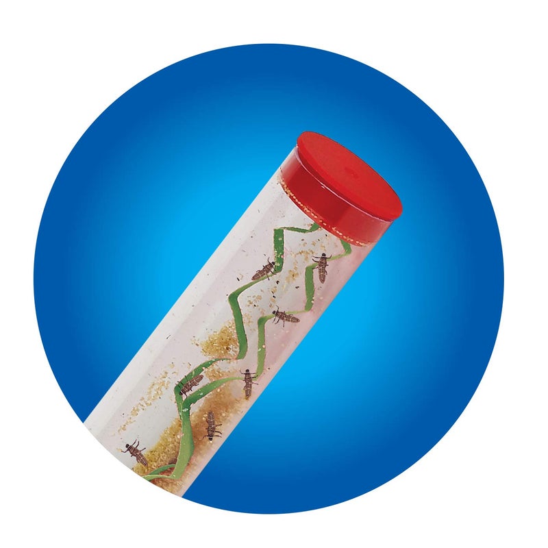 Insect Lore Live Ladybug Growing Kit | Ladybug Land Habitat | 10-15 Live Pink Spotted Ladybug Larvae Included - Image 4