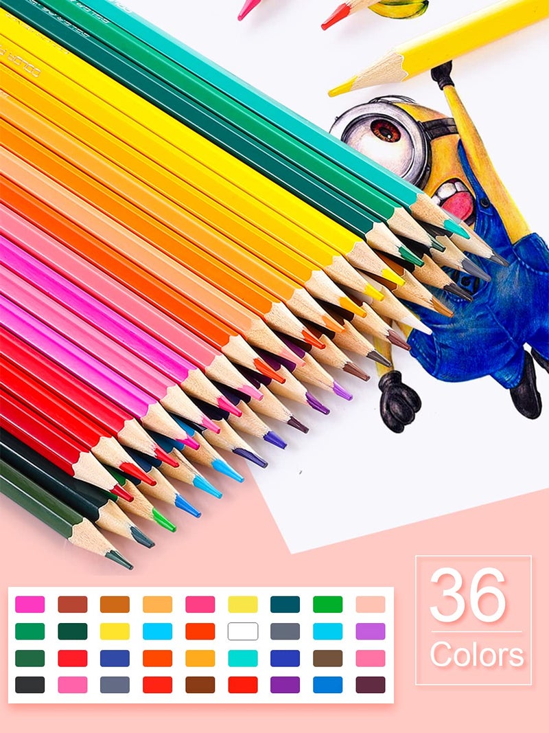 Leven Deli 36 Pack Colored Pencils with Built-in Sharpener in Tube Cap, Vibrant Color Presharpened Pencils for School Kids Teachers, Soft Core Art Drawing for Coloring, Sketching, and Painting - Image 2