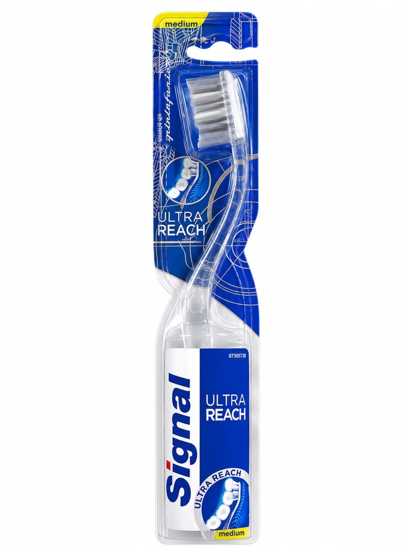 Signal Toothbrush Medium