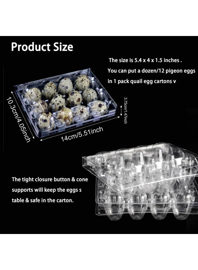 Loving Basso Quail Egg Cartons, 25 Pack, Each 12 Small Egg Trays, Reusable, Recyclable Plastic, Ideal for Refrigerator, 100% Eco-Friendly, Healthy and Pollution-Free - Image 2