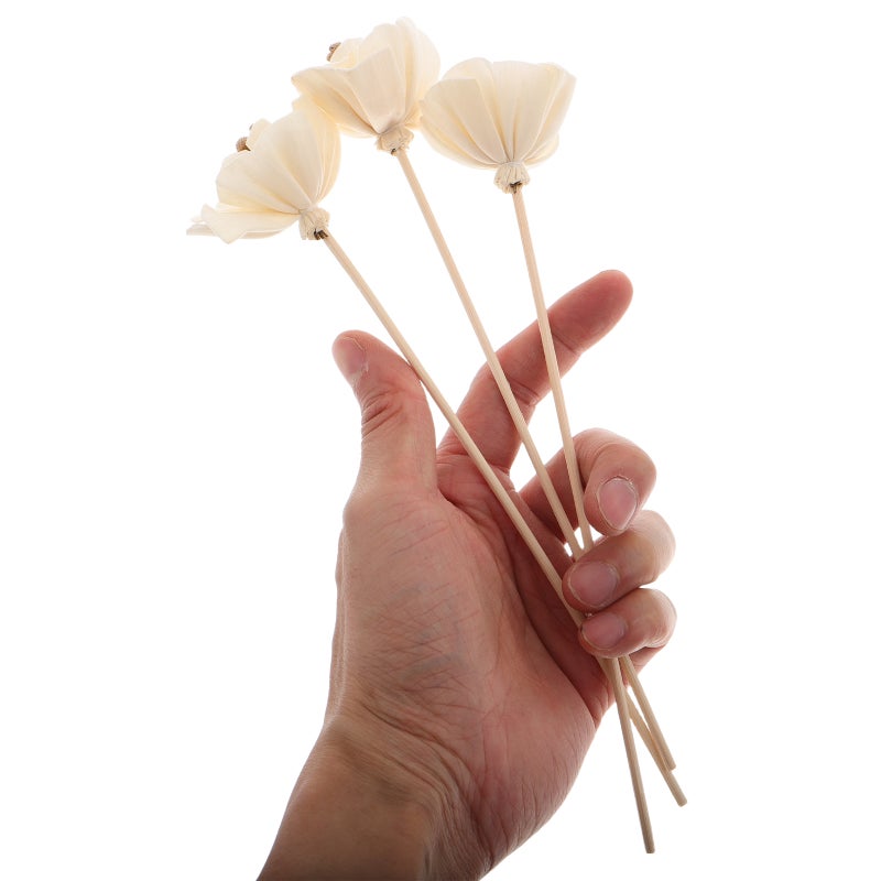 3pcs Reed Sticks No Flame Reeds Natural Dried Floral Fragrance Refill Sticks Home Scent Diffuser Flower Diffuser Sticks - Image 3