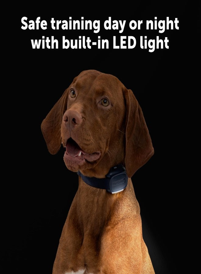 PetSafe Core Dog Trainer with Remote - Effective Dog Training - 19 Levels of Static Correction - Waterproof Collar - Rechargeable Training Collar - Compact Remote Transmitter - Image 2