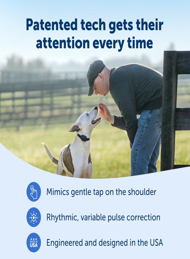 PetSafe Core Dog Trainer with Remote - Effective Dog Training - 19 Levels of Static Correction - Waterproof Collar - Rechargeable Training Collar - Compact Remote Transmitter - Image 3