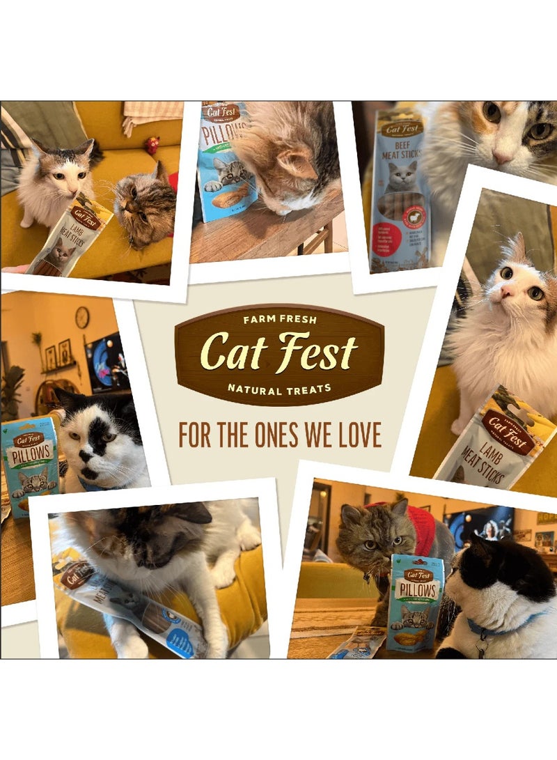 كات فيست وسائد مهرجان القطط بكريمة السلطعون 30 جرام - Image 5