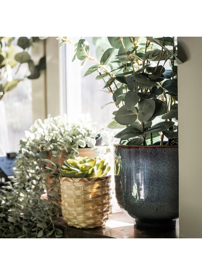 Zaboon Artificial Potted Plant, In/Outdoor Eucalyptus, 15 Cm - Image 2