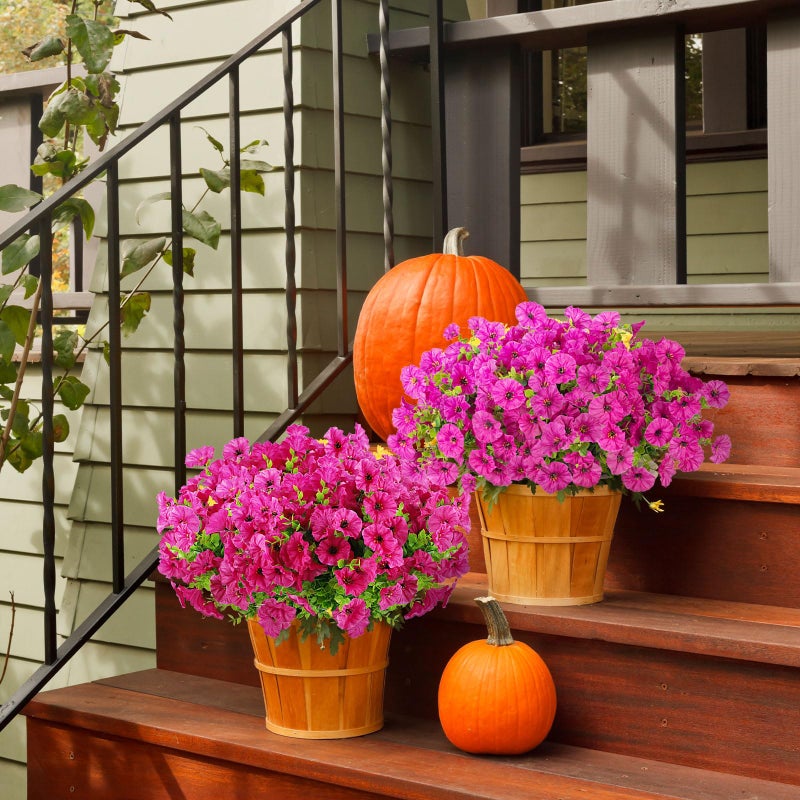 ADXORA 12 Bundles Morning Glory Artificial Flowers for Outdoor Decoration UV Resistant Fake Plastic Plants Artificial Greenery for Indoor Outdoor Garden Patio Window Box Home Decor - Image 5
