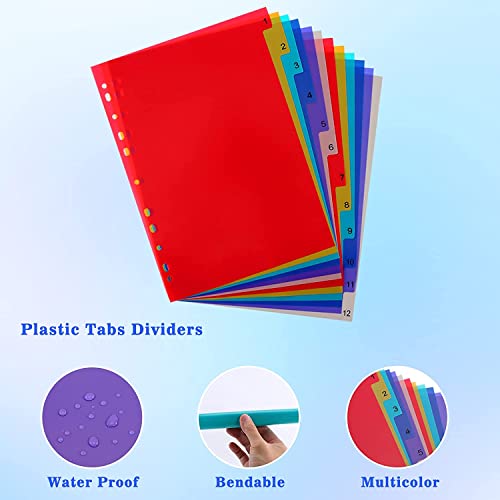 True-Ally A4 Plastic Separator,12-Tab Binder Dividers, Write & Erase Big Tab Dividers Ring Binders, Dividers for 2/3/4/11 Ring Binders, Insertable Multicolor Tabs (1 Set (Total 12 Sheets)) - Image 4