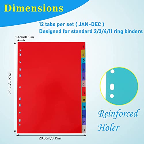 True-Ally A4 Plastic Separator,12-Tab Binder Dividers, Write & Erase Big Tab Dividers Ring Binders, Dividers for 2/3/4/11 Ring Binders, Insertable Multicolor Tabs (1 Set (Total 12 Sheets)) - Image 2