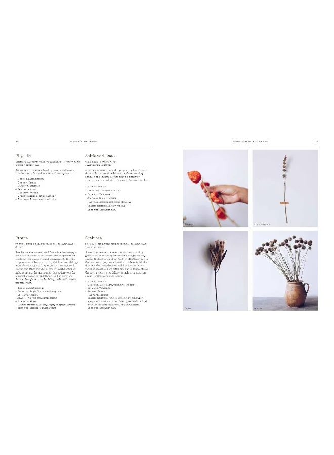 Ciel Books Modern Dried Flowers: 20 everlasting projects to craft, style, keep and share