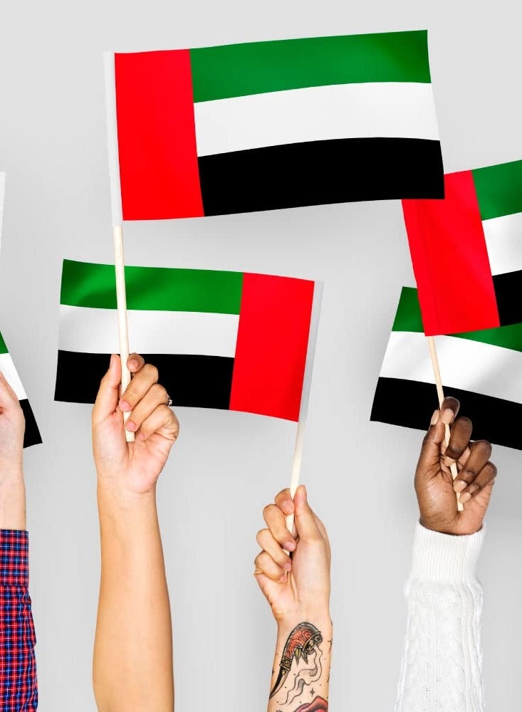Generic UAE National Day Handheld Flag - Celebrate the UAE National Day Party Decorations (10 Pcs)  - Image 2