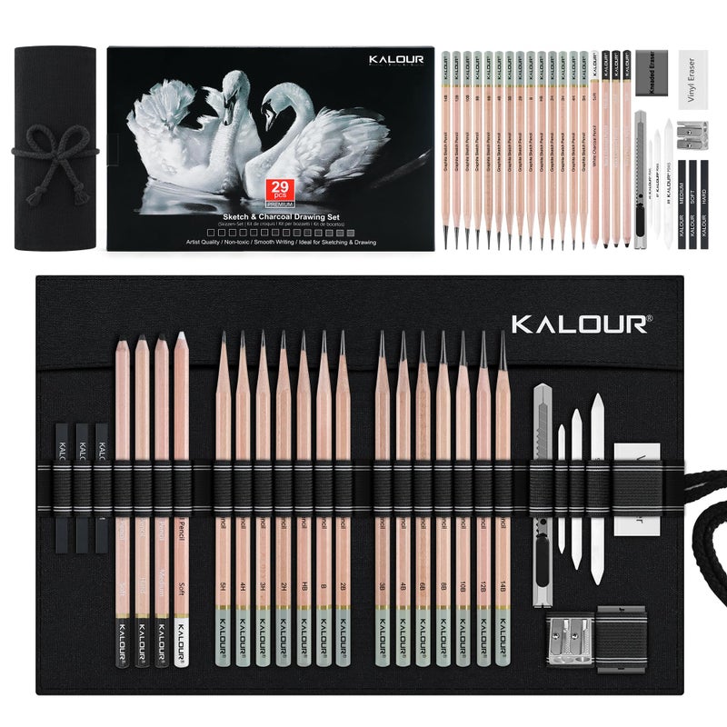 KALOUR 29 Pro Sketching Drawing Pencils Set with Roll-Up Nylon Case â€“ 14 Graphite Pencils (14Bâ€“5H), Charcoal Pencils, Erasers, Sharpener & Stumps â€“ Complete Art Kit for Artists & Beginner - Image 1