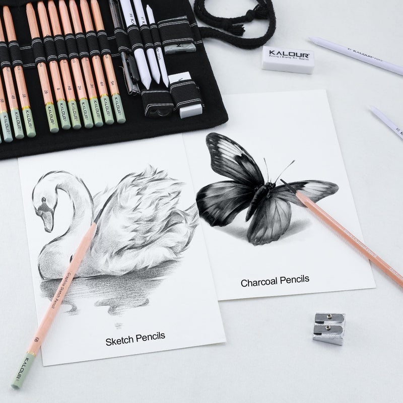 KALOUR 29 Pro Sketching Drawing Pencils Set with Roll-Up Nylon Case â€“ 14 Graphite Pencils (14Bâ€“5H), Charcoal Pencils, Erasers, Sharpener & Stumps â€“ Complete Art Kit for Artists & Beginner - Image 2