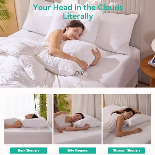 Three Geese White Goose Feather Down Pillows Standard Size Set of 1-100% Cotton, Medium Firm,Soft Support - Image 3