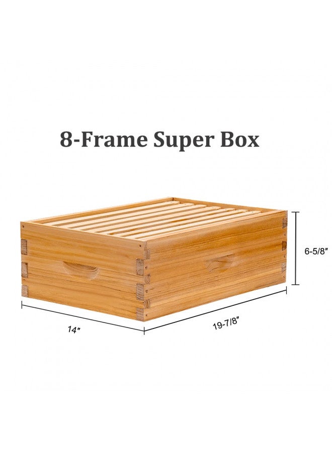 BeeCastle 8 Frame Langstroth Bee Hive Coated with 100% Beeswax Includes Beehive Frames and Waxed Foundations (1 Deep Box & 1 Medium Box) - Image 4