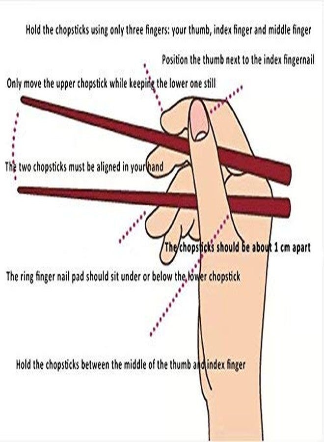 MYPS Designer Printed Round Stainless Steel Reusable Chopsticks for Chinies Food - Image 3