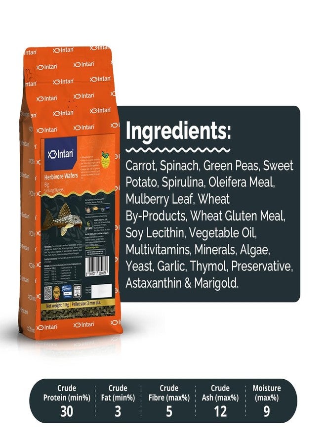 Intan Herbivore Wafers (Big 3.0mm Sinking) | 1Kg - Highly Nutritious Ornamental Fish Food for Herbivorous Fish - Mollies, Mbunas & Plecos | Growel Feeds - Image 3