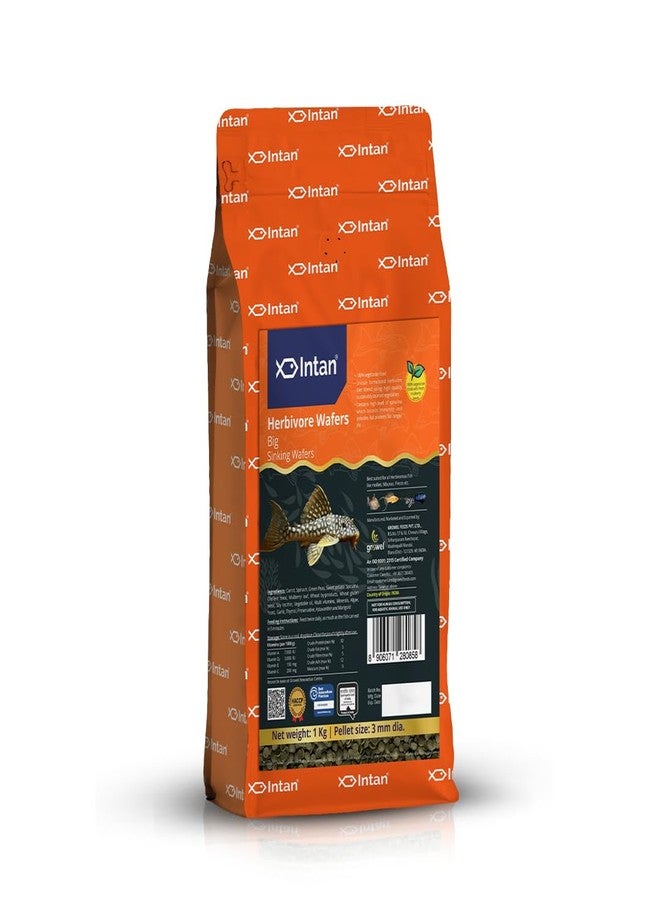 Intan Herbivore Wafers (Big 3.0mm Sinking) | 1Kg - Highly Nutritious Ornamental Fish Food for Herbivorous Fish - Mollies, Mbunas & Plecos | Growel Feeds - Image 1