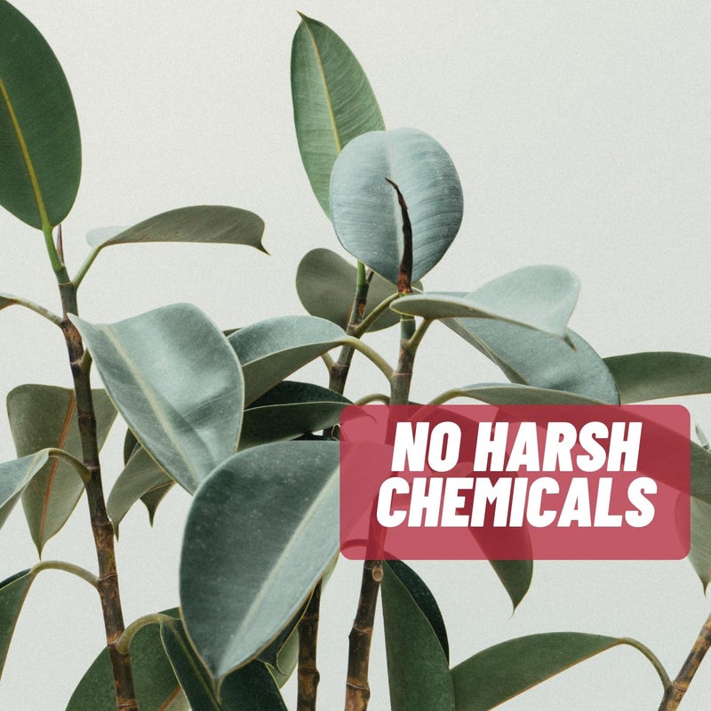 Acnetame Acne Pills 30 Day- Supplements for Acne Vitamin Treatment- Tablets to Clear Oily Skin for Women, Men, Teens, and Adults - Image 5